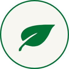 New Zealand Origin